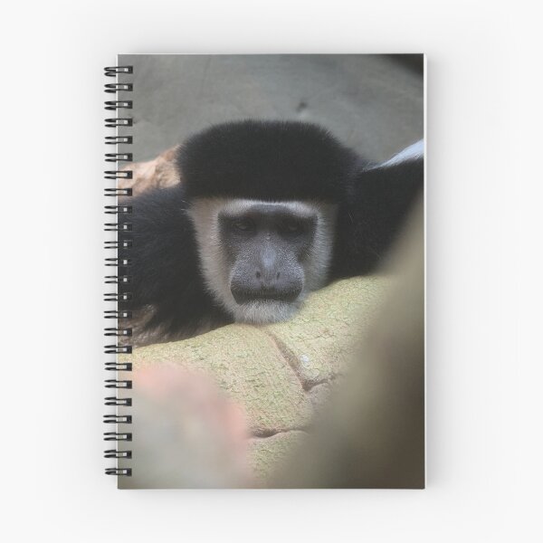 Artikelvorschau, Colobus-Affe entworfen und verkauft von MRK designs.