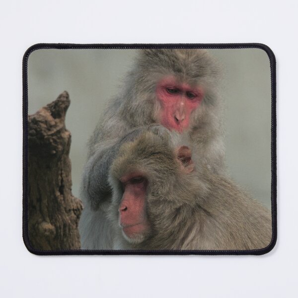 Item preview, African macaque monkeys designed and sold by MRK designs.