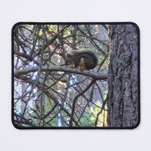 Item preview, Squirrel's World Domination designed and sold by Betsy Phillips.