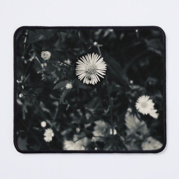 Item preview, George designed and sold by R-Photography.