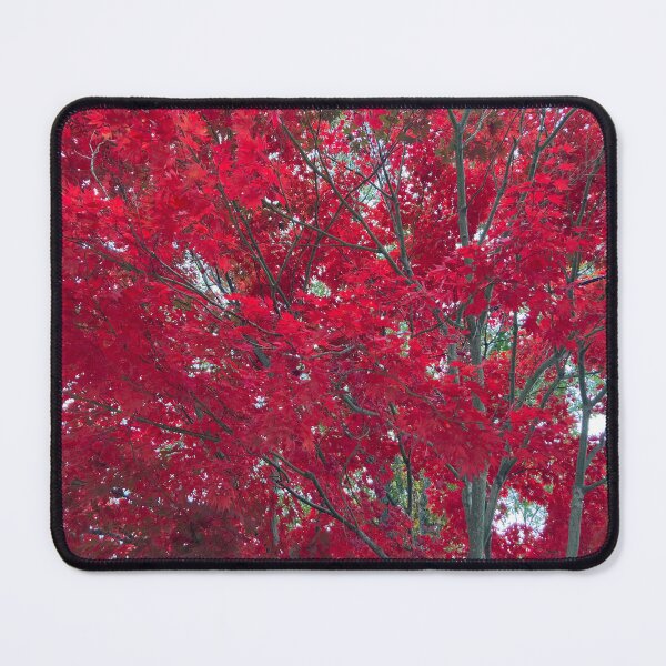 Item preview, Red Autumn Tree designed and sold by Amanda1775.