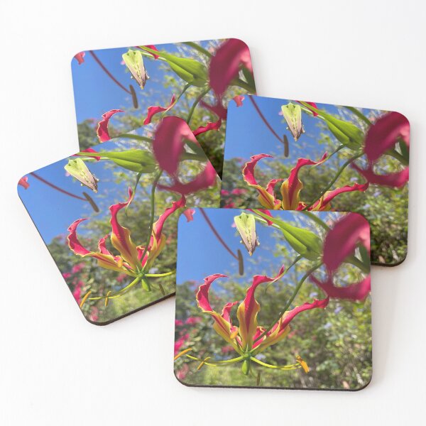 Item preview, Flame Lily Reaching for the Sky designed and sold by TrisaThyme.