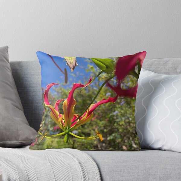 Item preview, Flame Lily Reaching for the Sky designed and sold by TrisaThyme.