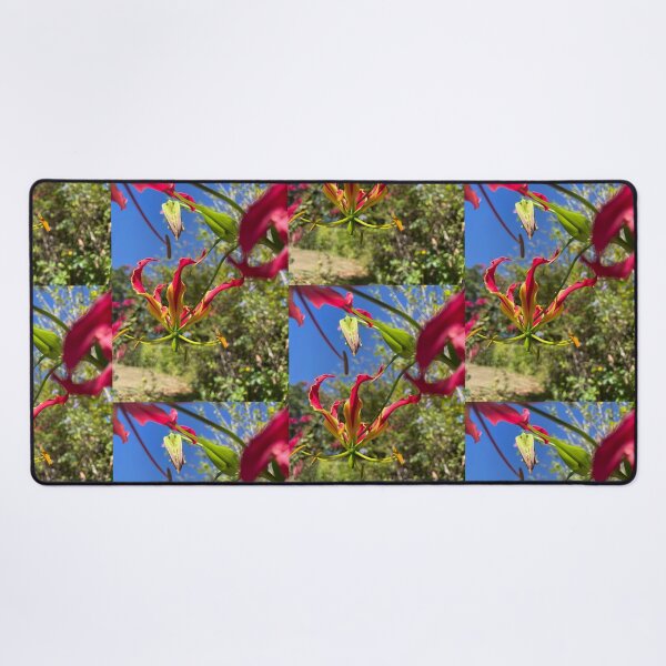 Item preview, Flame Lily Reaching for the Sky designed and sold by TrisaThyme.