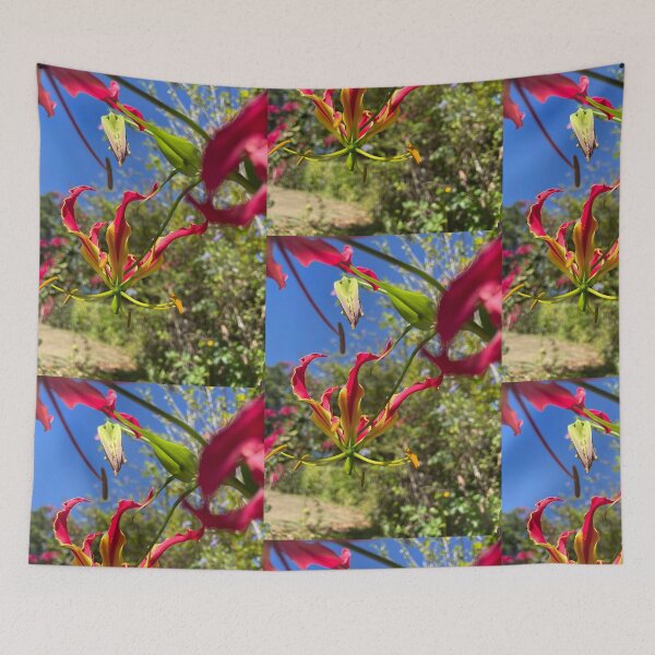 Item preview, Flame Lily Reaching for the Sky designed and sold by TrisaThyme.