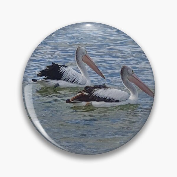 Item preview, Pelicans designed and sold by Beebmeep.
