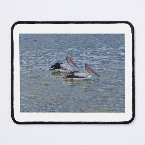 Item preview, Pelicans designed and sold by Beebmeep.