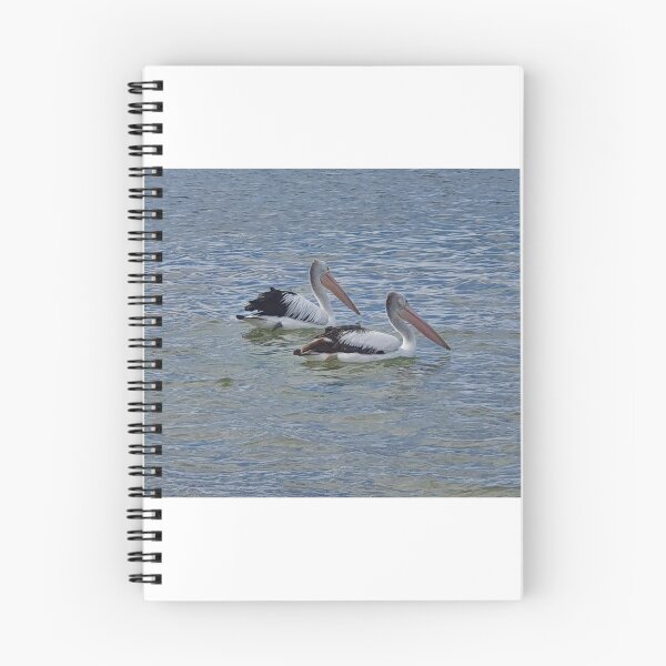 Item preview, Pelicans designed and sold by Beebmeep.