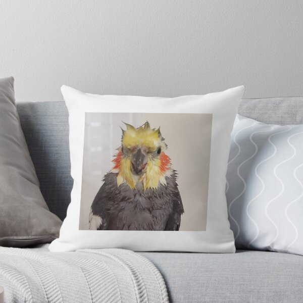 Item preview, Wet cockatiel designed and sold by Beebmeep.