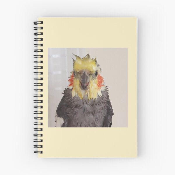 Item preview, Wet cockatiel designed and sold by Beebmeep.
