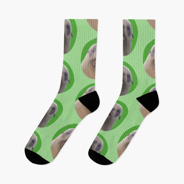 Item preview, Kekeno (New Zealand Fur Seal) pup blep on green designed and sold by GivernyKate.