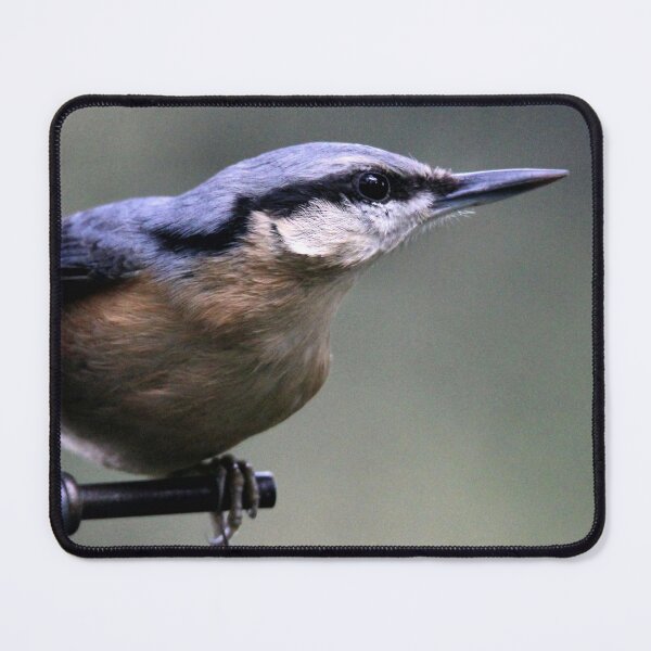Item preview, nuthatch designed and sold by KathleenDawson.