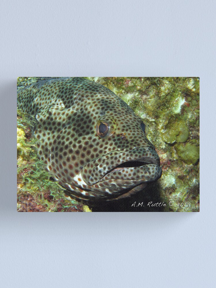 Alternate view of Fish Sleep? Canvas Print