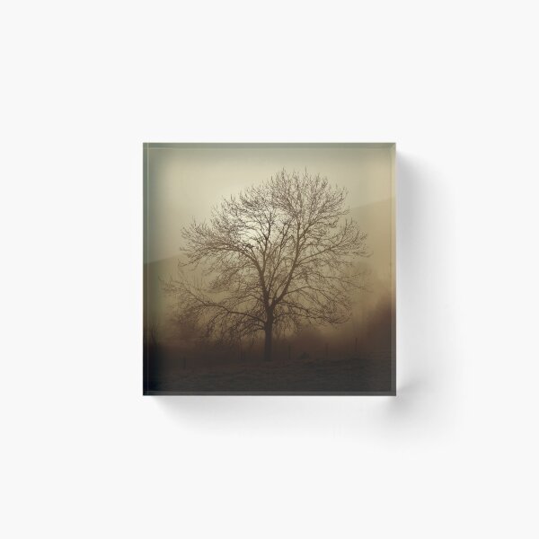 Item preview, Ash tree in fog, Hob Moor, sepia designed and sold by paulboizot.