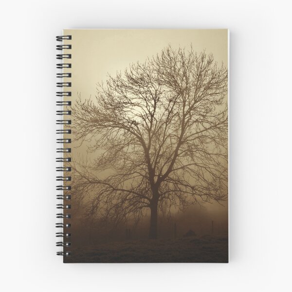 Item preview, Ash tree in fog, Hob Moor, sepia designed and sold by paulboizot.