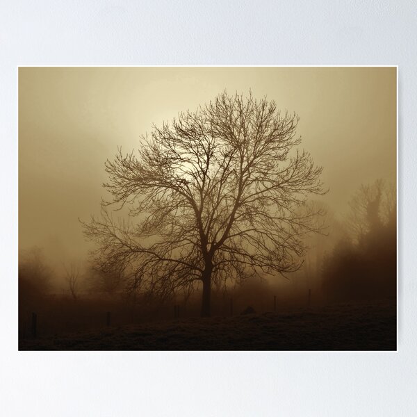 Item preview, Ash tree in fog, Hob Moor, sepia designed and sold by paulboizot.