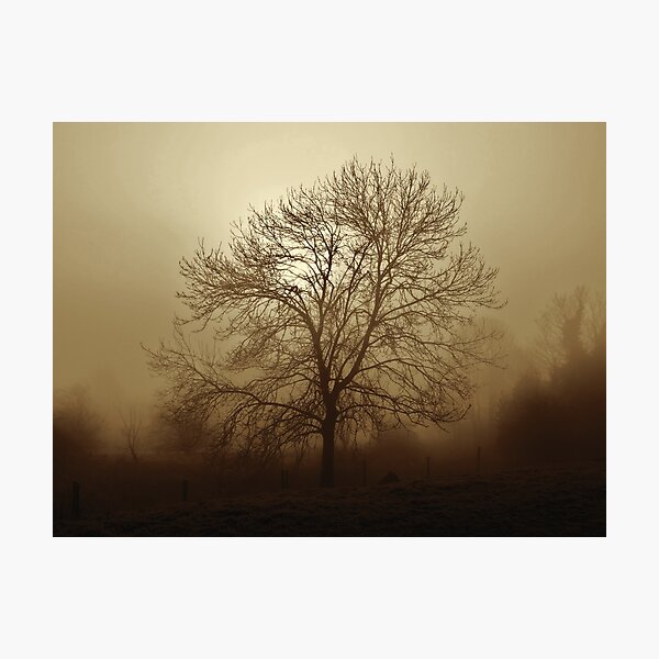 Item preview, Ash tree in fog, Hob Moor, sepia designed and sold by paulboizot.