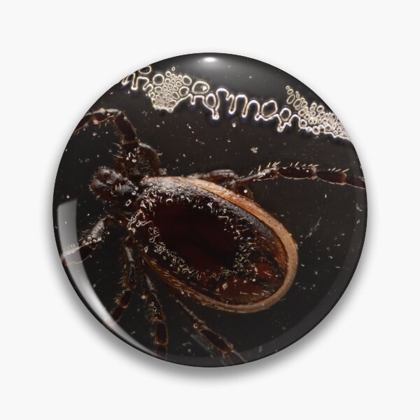 Item preview, Tick in Liquid with Air Bubbles – Macro Photography designed and sold by Goiko7Margarita.