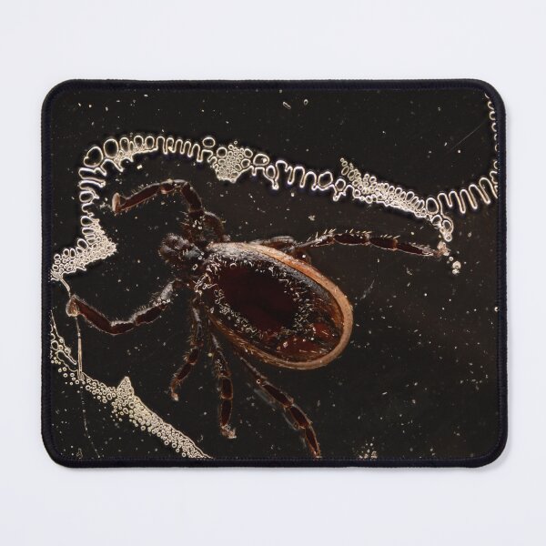 Item preview, Tick in Liquid with Air Bubbles – Macro Photography designed and sold by Goiko7Margarita.