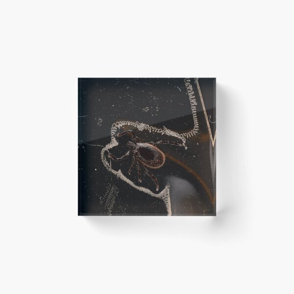 Item preview, Tick Stuck on Transparent Tape – Macro Photography designed and sold by Goiko7Margarita.