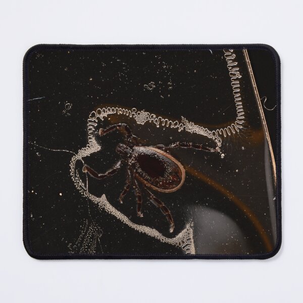 Item preview, Tick Stuck on Transparent Tape – Macro Photography designed and sold by Goiko7Margarita.