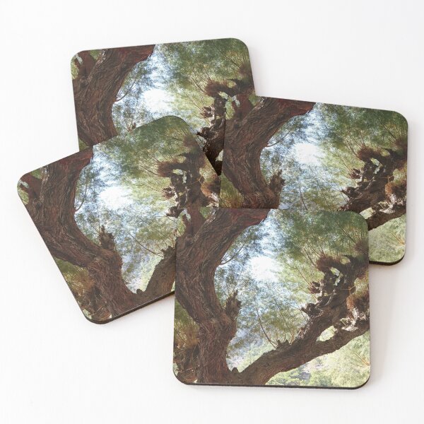 Item preview, Tamarisk, upward view, Symi designed and sold by paulboizot.
