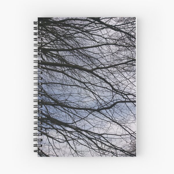 Item preview, Bare branches, Hob Moor, York designed and sold by paulboizot.