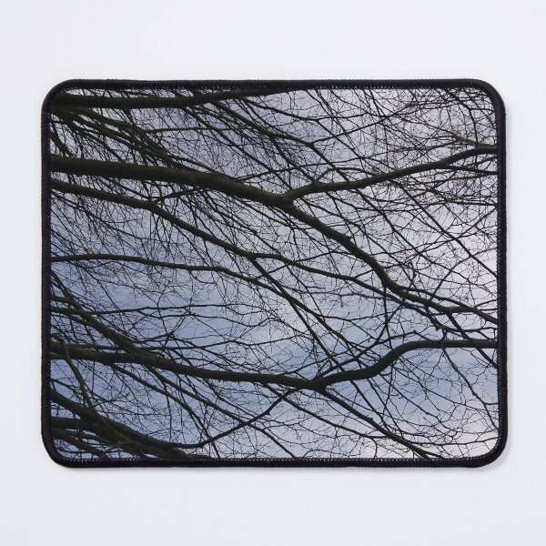 Item preview, Bare branches, Hob Moor, York designed and sold by paulboizot.