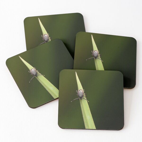 Item preview, Macro of tick on green grass blade – detailed nature and wildlife close-up designed and sold by Goiko7Margarita.