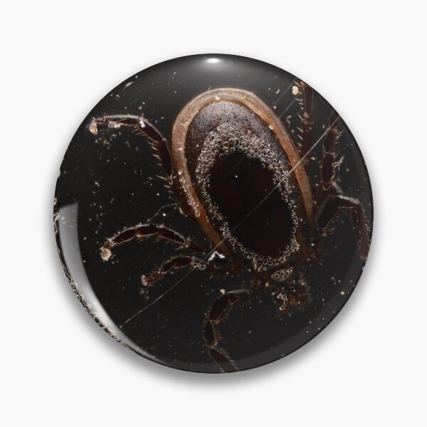 Item preview, Macro of tick trapped in adhesive tape – close-up entomology and control concept designed and sold by Goiko7Margarita.