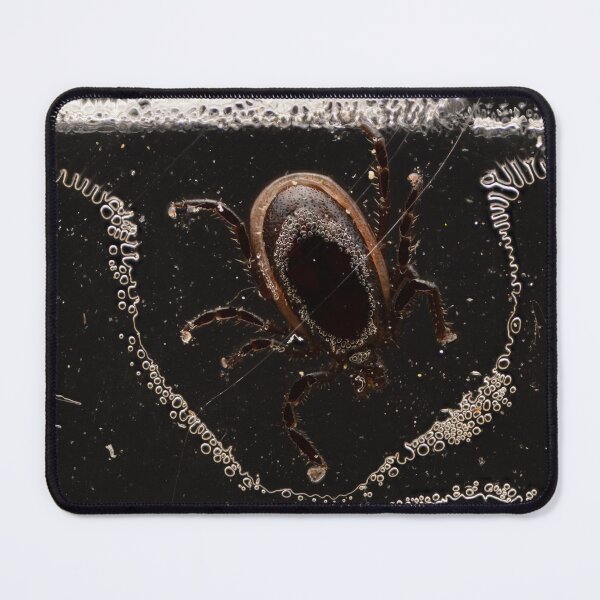 Item preview, Macro of tick trapped in adhesive tape – close-up entomology and control concept designed and sold by Goiko7Margarita.