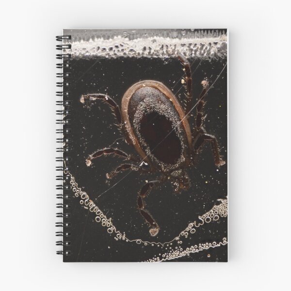 Item preview, Macro of tick trapped in adhesive tape – close-up entomology and control concept designed and sold by Goiko7Margarita.