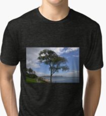 One Tree Stands Alone......... Tri-blend T-Shirt