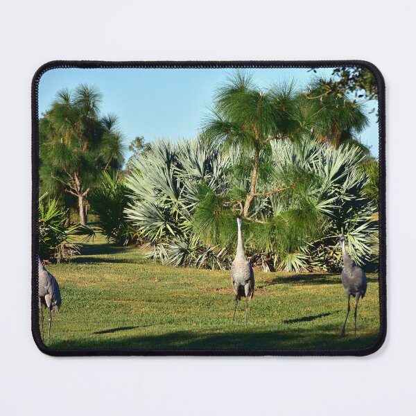 Item preview, Cranes in a Lush Garden designed and sold by MercerImages.