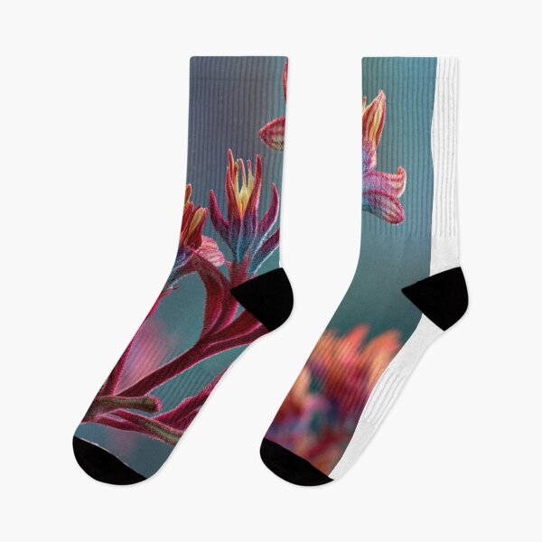 Item preview, Violet Bloom - Kangaroo Paw designed and sold by WinkyDingo.
