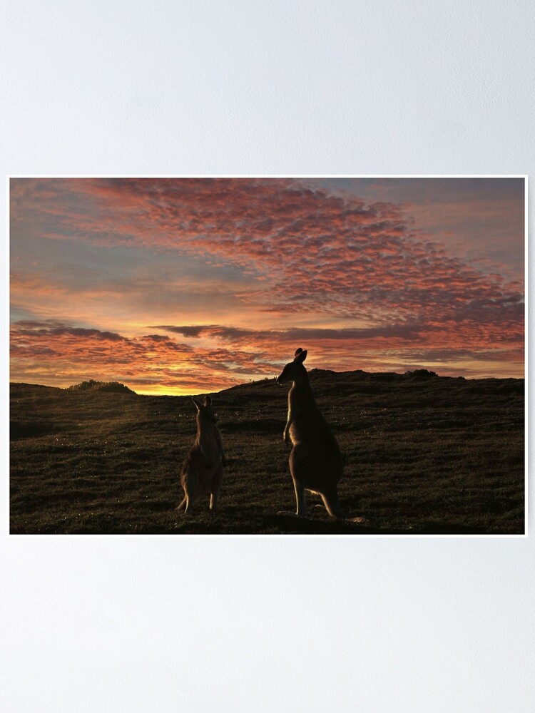 "How long will this heatwave last mate?" Poster for Sale by myraj