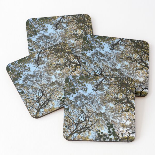 Item preview, Sunny Autumn oaks designed and sold by paulboizot.