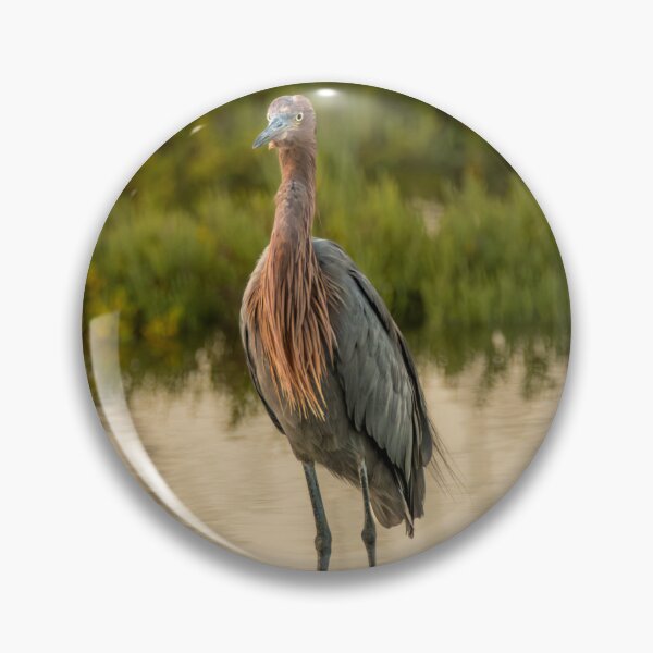 Item preview, Majestic Egret At The Wetlands designed and sold by Debra Martz.