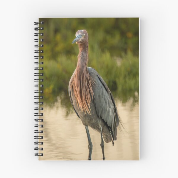 Item preview, Majestic Egret At The Wetlands designed and sold by Debra Martz.
