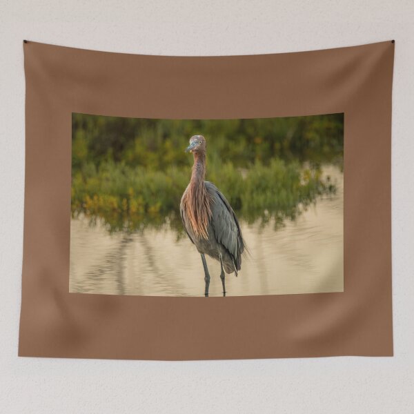 Item preview, Majestic Egret At The Wetlands designed and sold by Debra Martz.