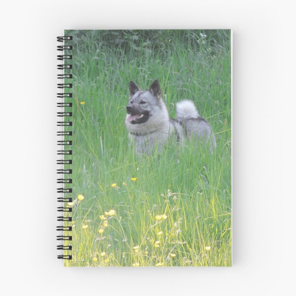 Artikelvorschau, Sonnenschein und Buttercups entworfen und verkauft von CreativeEm.