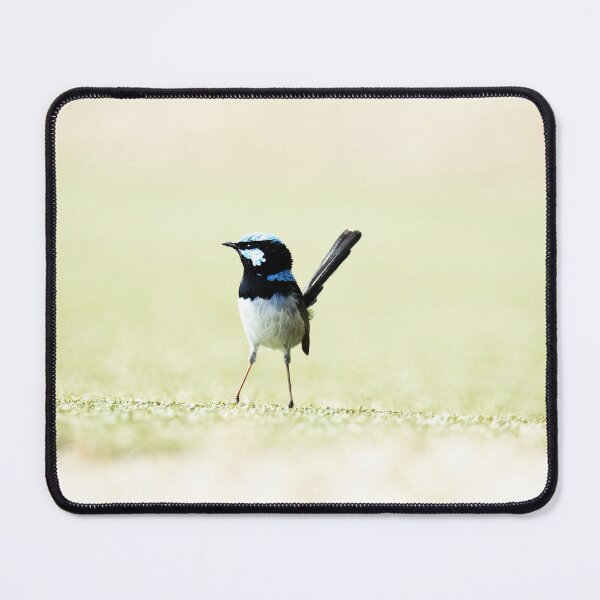 Item preview, Little Blue Fairy Wren standing alone designed and sold by imaginethis.