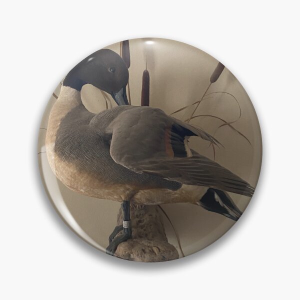 Item preview, Prize Pintail designed and sold by Huntingworld57.