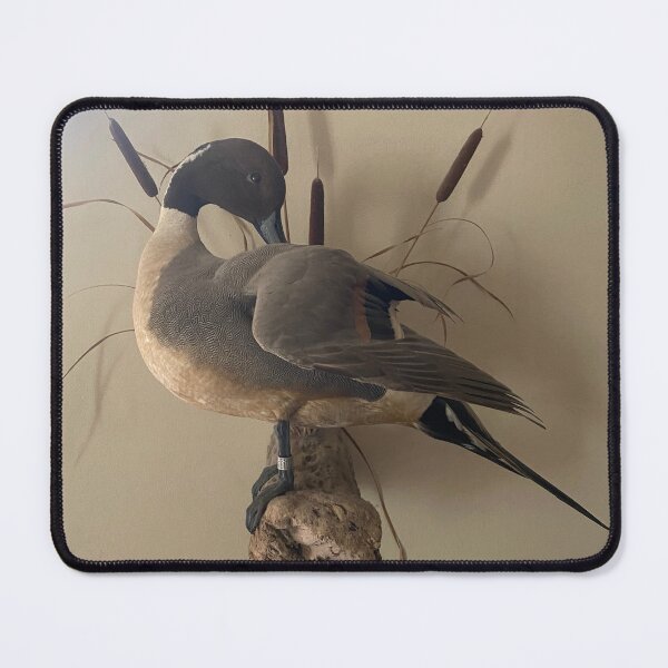 Item preview, Prize Pintail designed and sold by Huntingworld57.