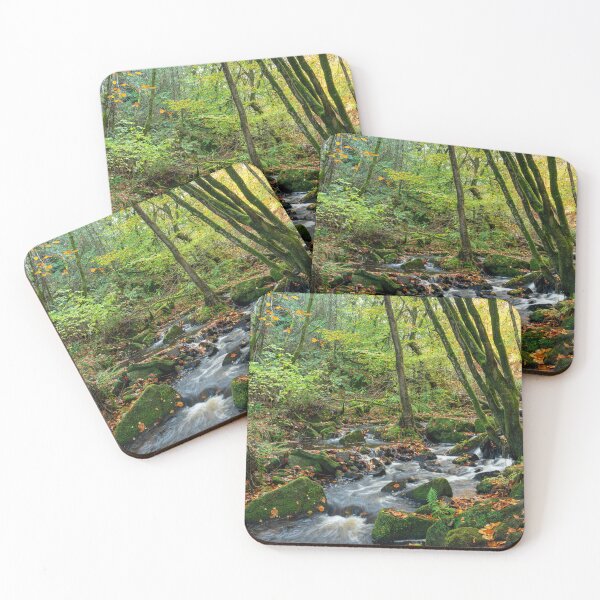 Item preview, Vibrant mossy autumn woodland at Wyming Brook  designed and sold by RobThorley.