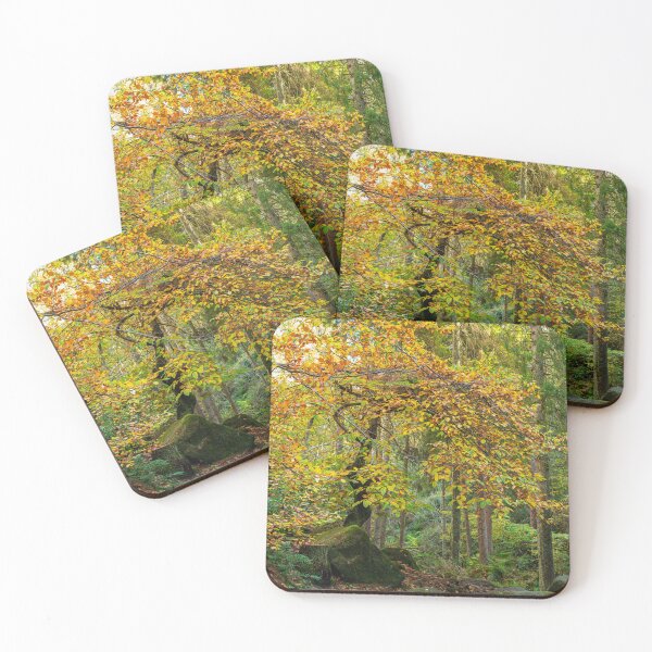 Item preview, Vibrant mossy autumn woodland at Wyming Brook  designed and sold by RobThorley.