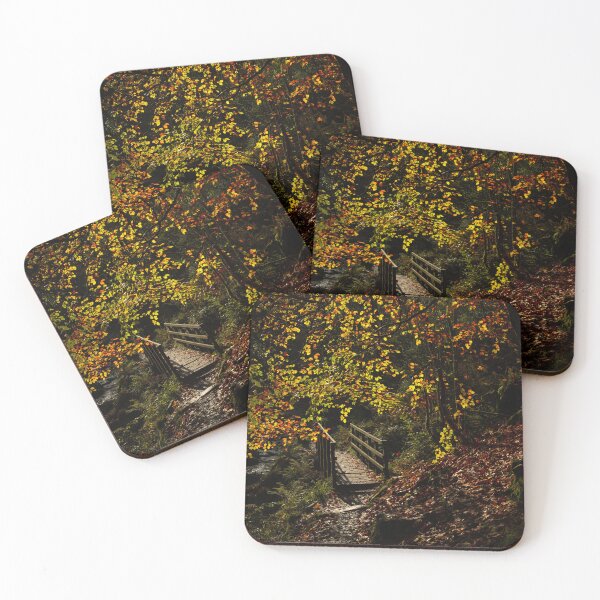 Item preview, Vibrant mossy autumn woodland at Wyming Brook  designed and sold by RobThorley.