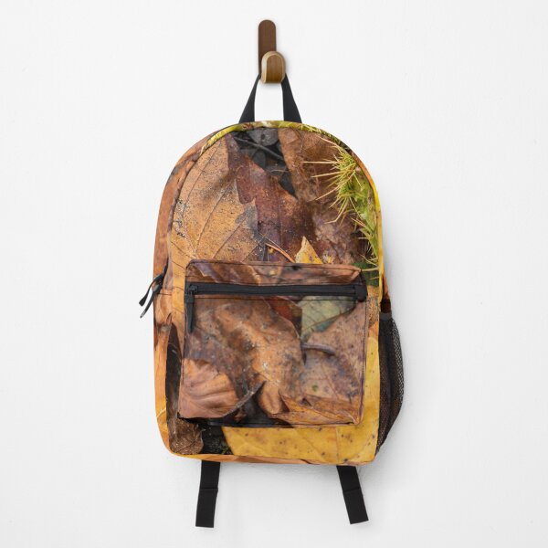 Item preview, Conker in an open husk with autumn leaves. designed and sold by RobThorley.