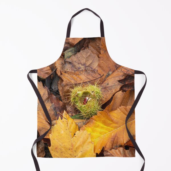 Item preview, Conker in an open husk with autumn leaves. designed and sold by RobThorley.