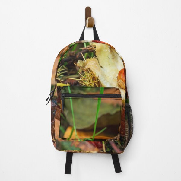 Item preview, Conker in an open husk with autumn leaves. designed and sold by RobThorley.